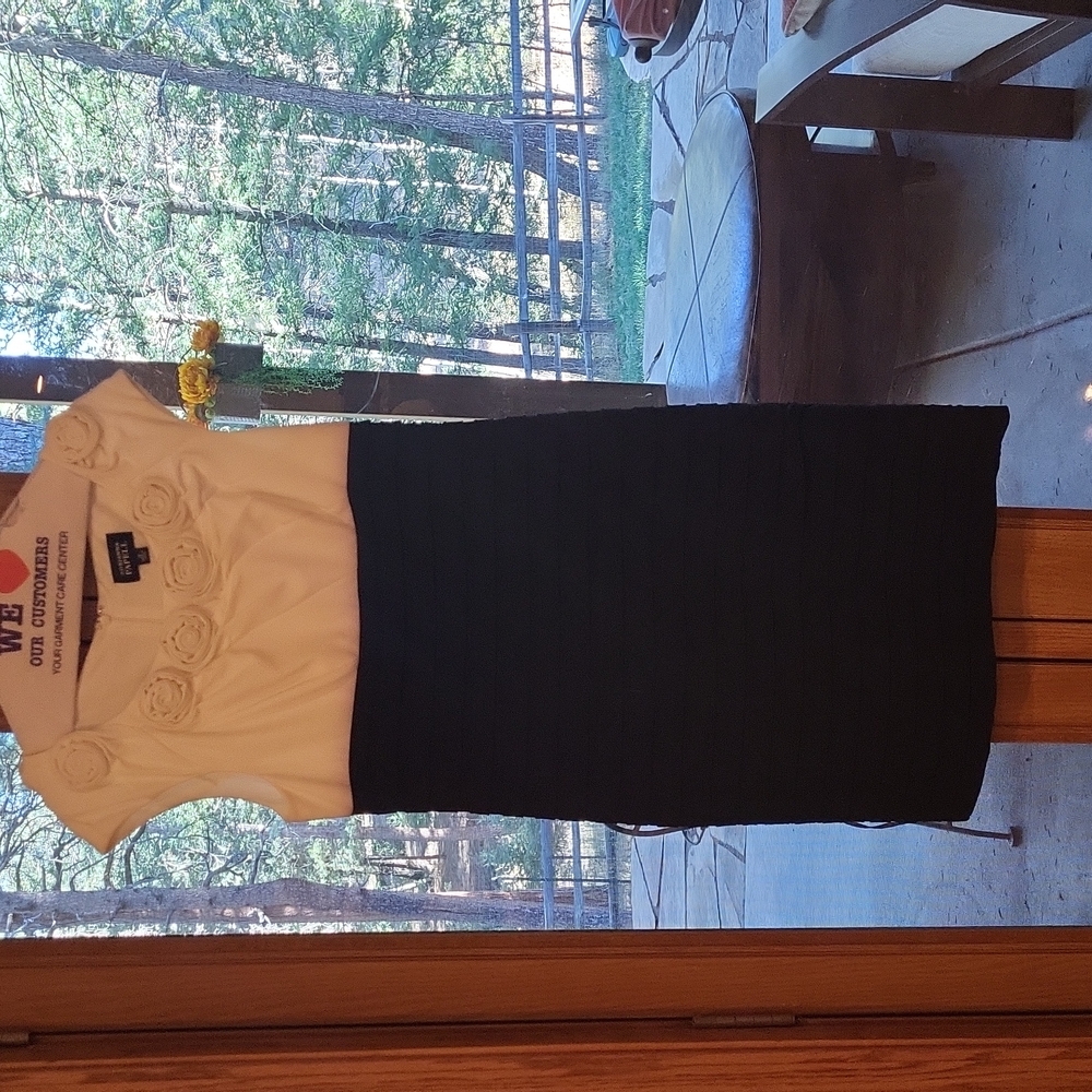 Woman's special occasion dress